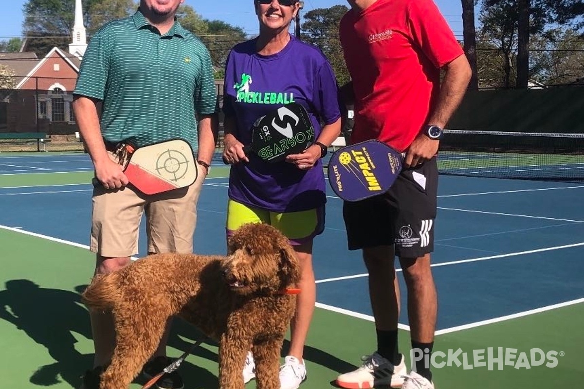 Photo of Pickleball at Dellinger Park